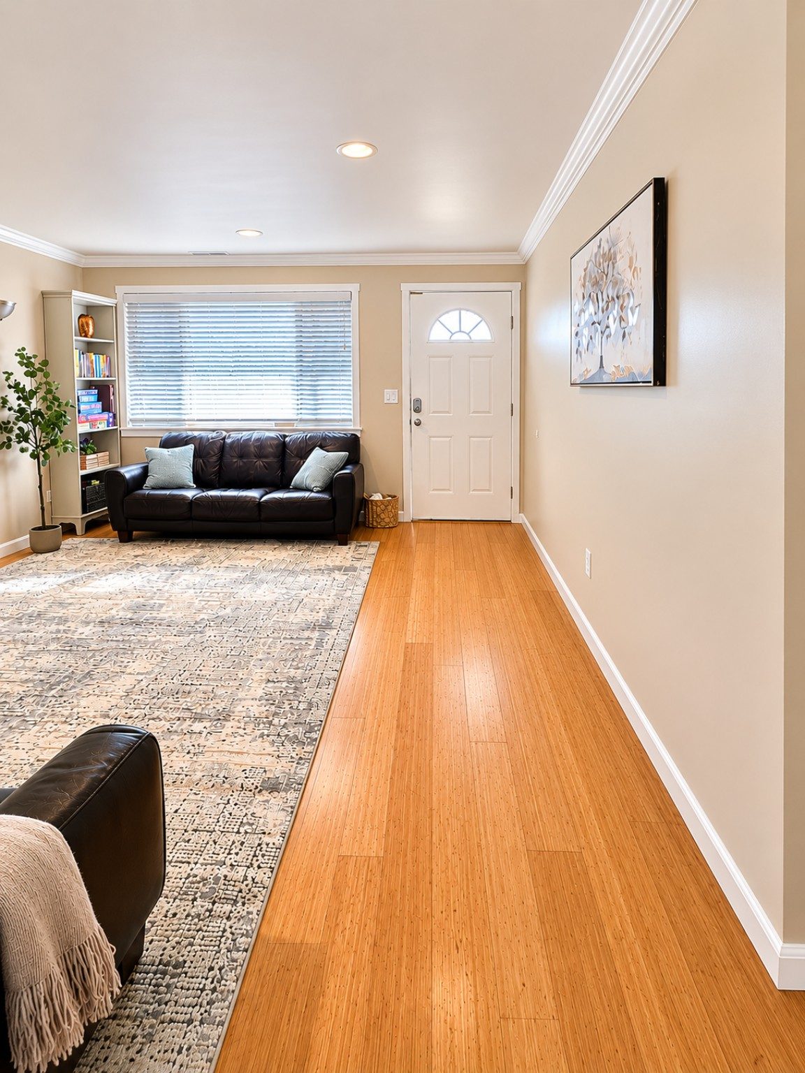 Living room and entry